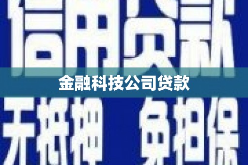 利川金融科技公司贷款