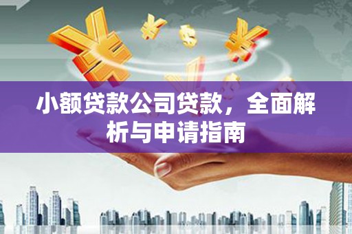 利川小额贷款公司贷款，全面解析与申请指南