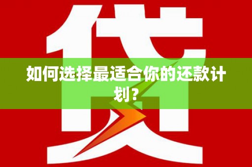 利川如何选择最适合你的还款计划？