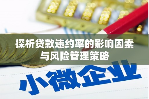 利川探析贷款违约率的影响因素与风险管理策略