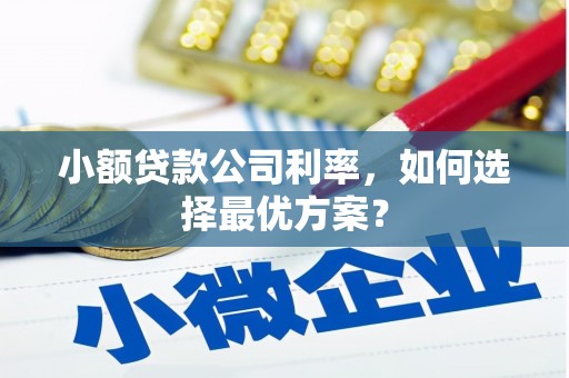 利川小额贷款公司利率，如何选择最优方案？