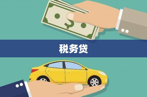 利川税务贷