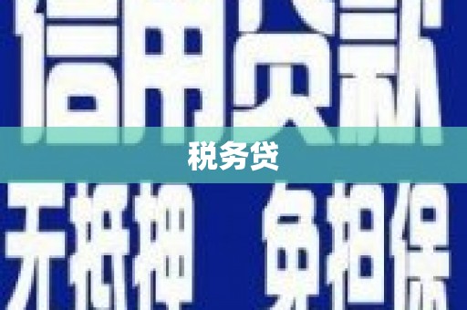 利川税务贷