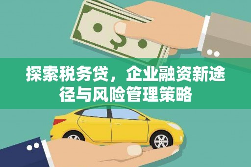 利川探索税务贷，企业融资新途径与风险管理策略