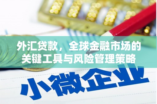 利川外汇贷款，全球金融市场的关键工具与风险管理策略
