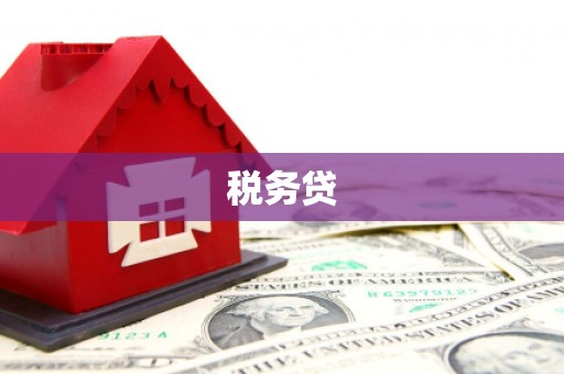 利川税务贷