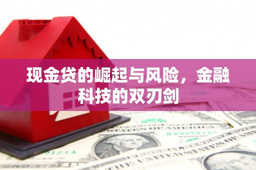 利川现金贷的崛起与风险，金融科技的双刃剑