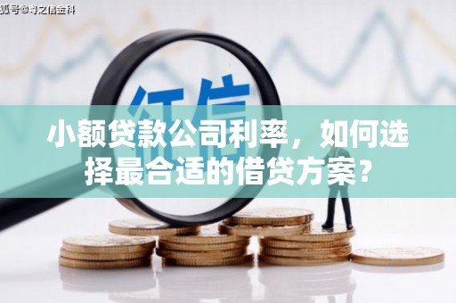 利川小额贷款公司利率，如何选择最合适的借贷方案？
