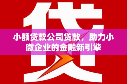 利川小额贷款公司贷款，助力小微企业的金融新引擎