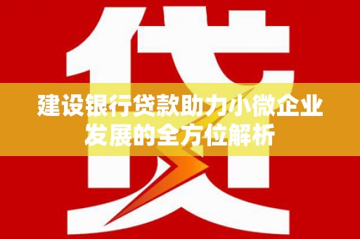 利川建设银行贷款助力小微企业发展的全方位解析