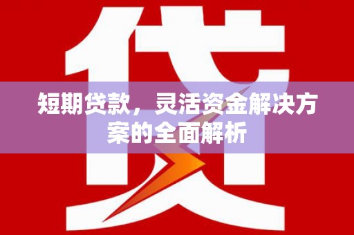 利川短期贷款，灵活资金解决方案的全面解析
