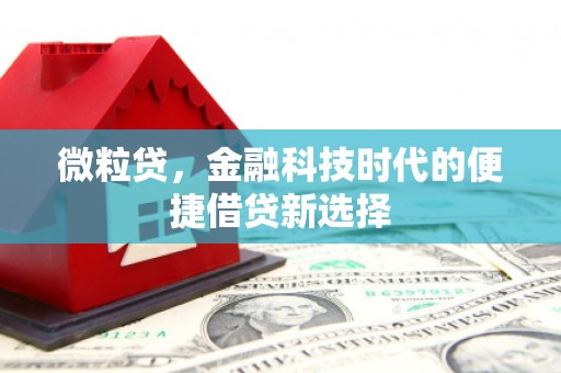 利川微粒贷，金融科技时代的便捷借贷新选择