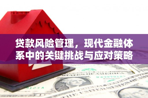 利川贷款风险管理，现代金融体系中的关键挑战与应对策略