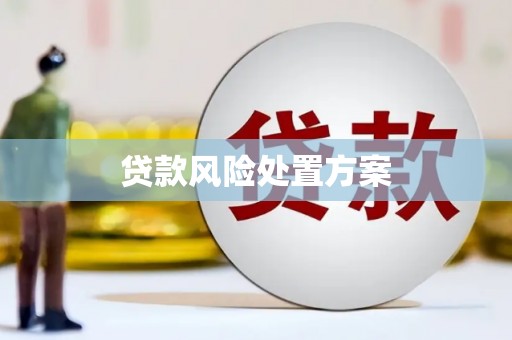 利川贷款风险处置方案