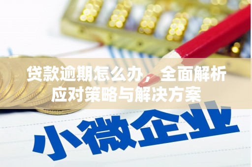 利川贷款逾期怎么办，全面解析应对策略与解决方案